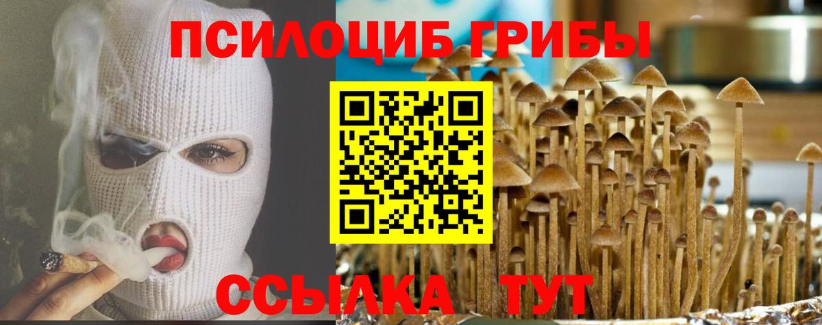 Псилоцибиновые грибы Cubensis  Псилоцибиновые грибы прущие грибы  Вход с VPN  Самара 