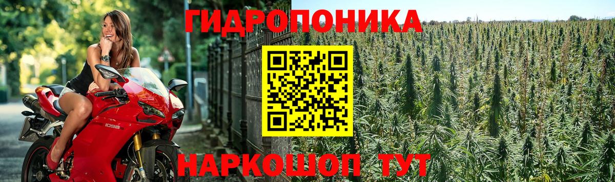 Самара  Канабис MAZAR  Вход с VPN  Шишки марихуана Bruce Banner  Каннабис Ganja 